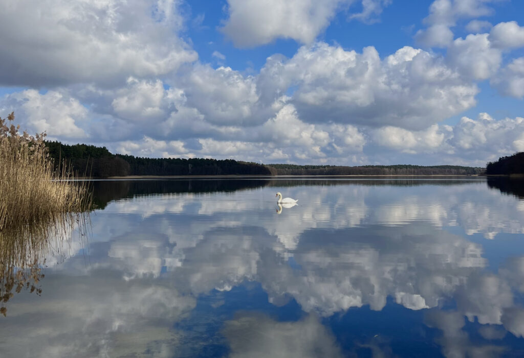 Ruhiger Campingplatz Brandenburg, Naturcampingplatz Blanschen direkt am Dranser See